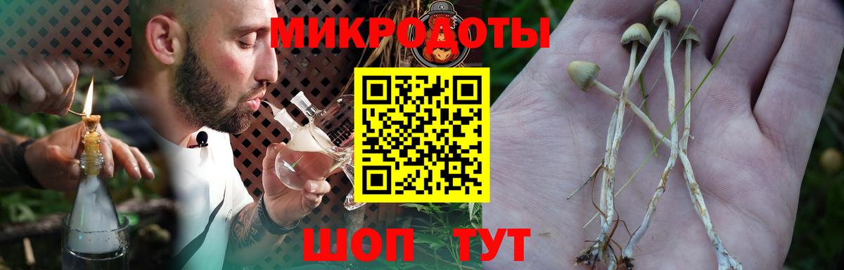 Галлюциногенные грибы ЛСД Озёры